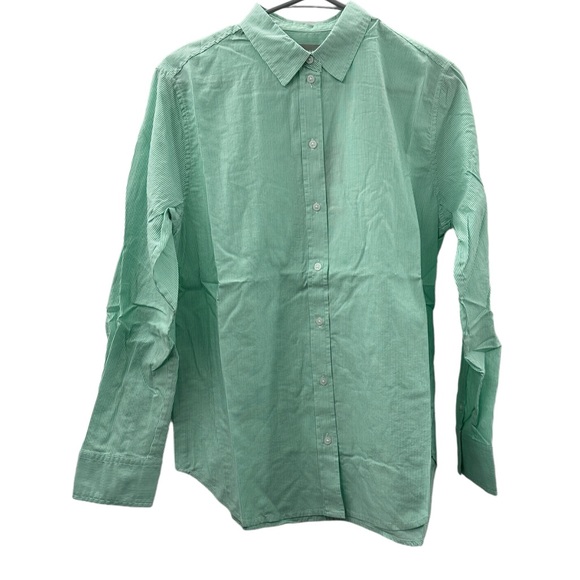 Everlane The Silky Cotton Relaxed Long‎ Sleeve Button Down Shirt in Mint Green - Picture 1 of 5